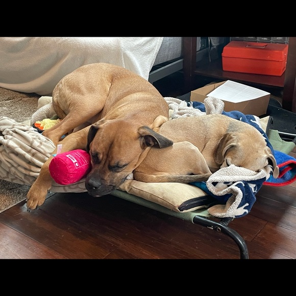 Meet your Posher, Sarah - Picture 1 of 1